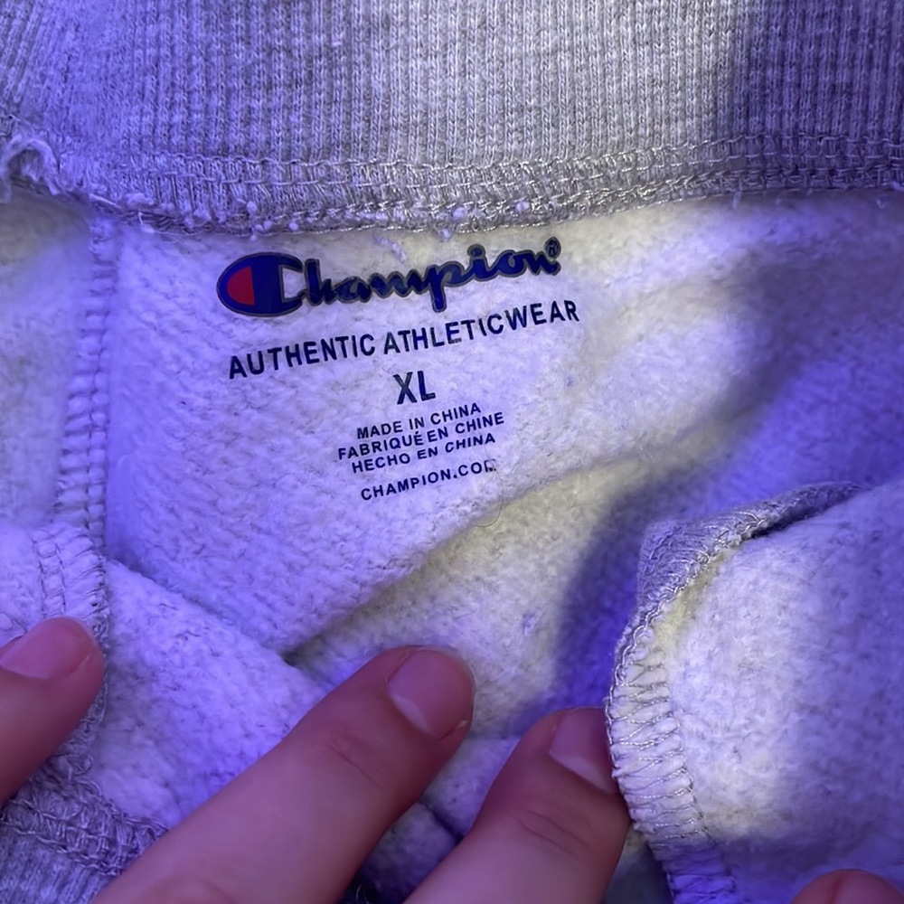 Gray Champion joggers - Picture 2 of 3